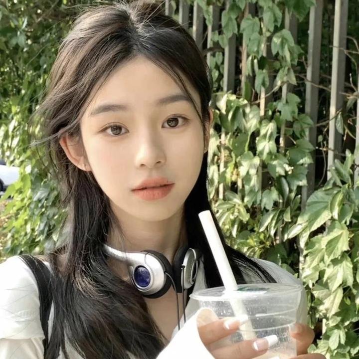 狐狸女士第二季